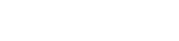 FASTVISION®